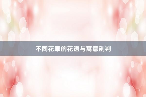 不同花草的花语与寓意剖判