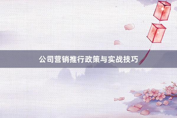 公司营销推行政策与实战技巧
